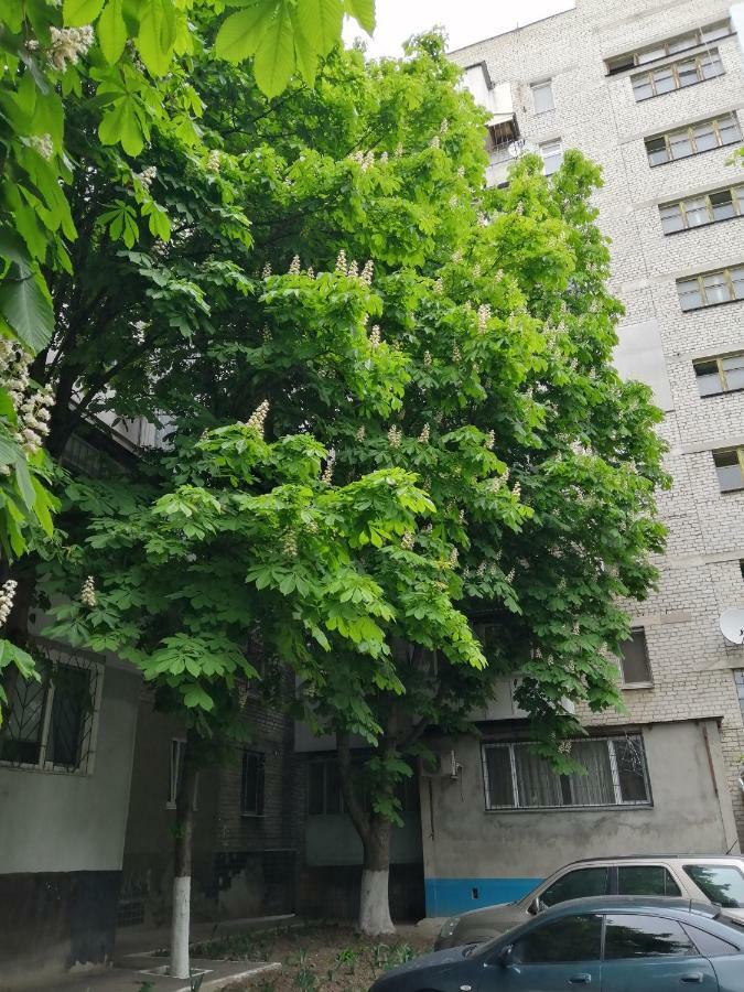 Apartments near the sea Odesa Exterior foto